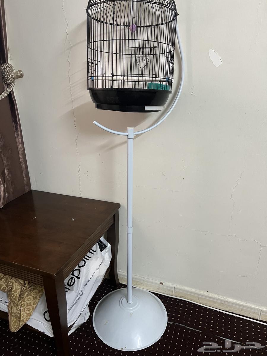 قفص عصافير جديدة64225360889601110