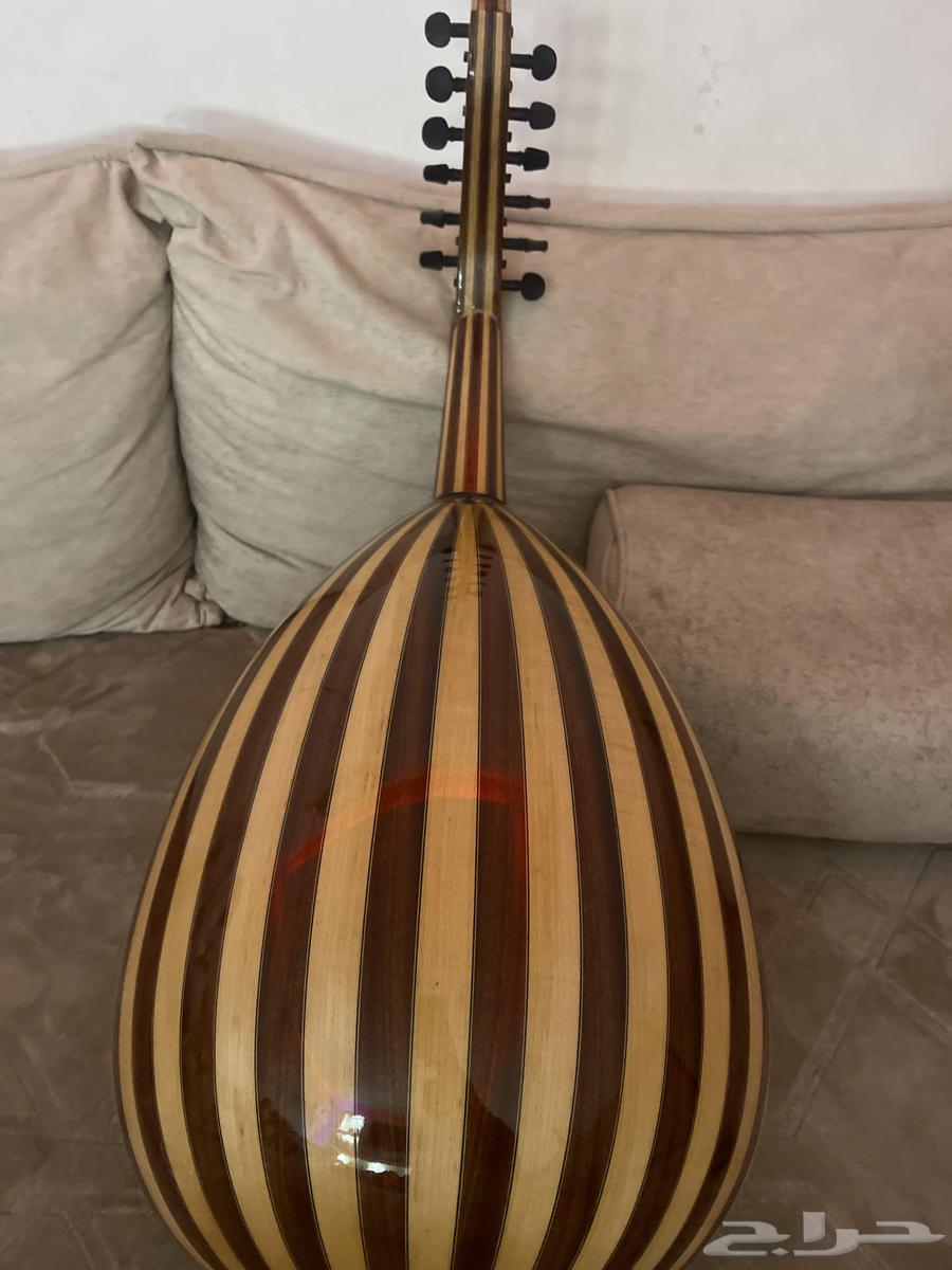 عود للبيع زرياب عراقي موديل 19 فرس متحرك64219014645249112