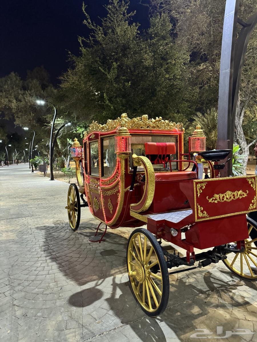 عربات كهربائيه64404277877889114