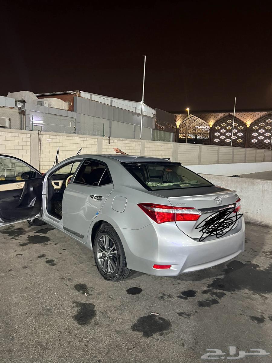 كوريلا 2016 للبيع64406681750273114