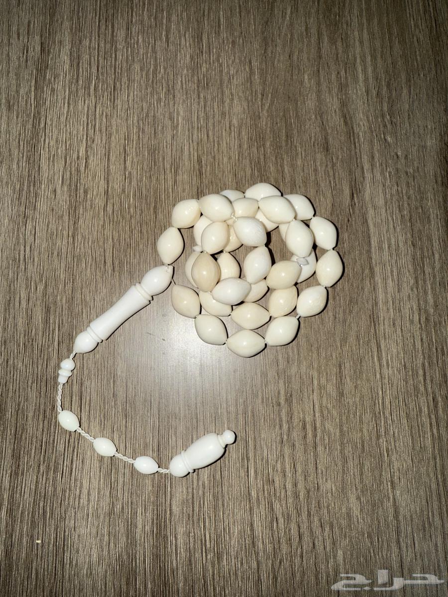 Camel Bone Beads64230998339457111