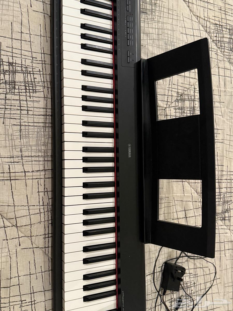 أورغ بيانو64231476687617110