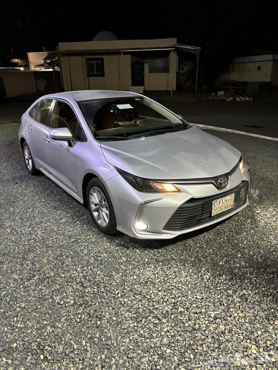 كورلا 2023 للتقبيل64408244641538113