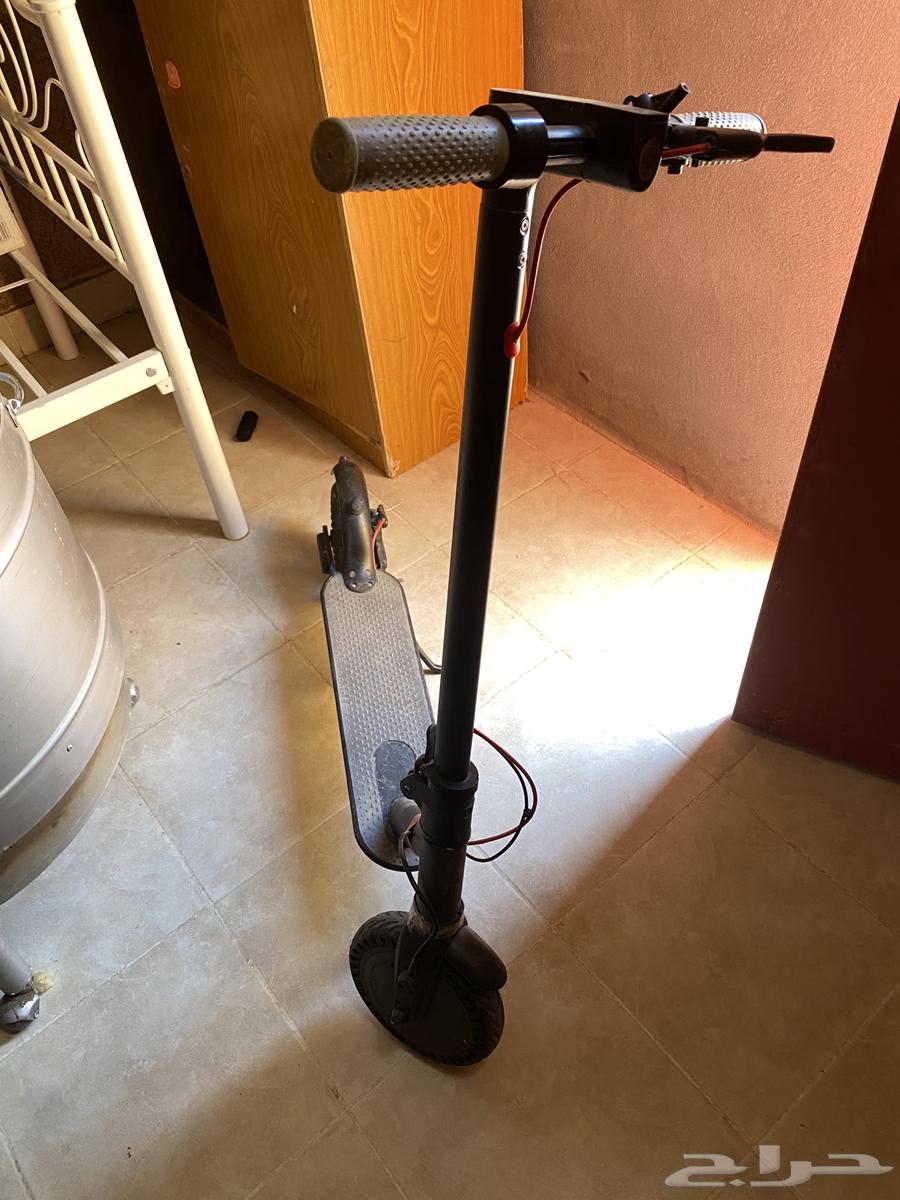 Scooter64205475101827110