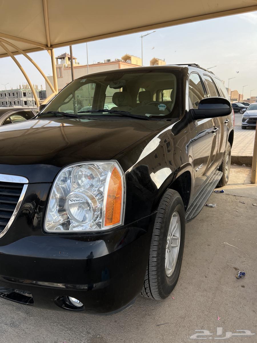 Yowcan at the peak of cleanliness64398312495235111