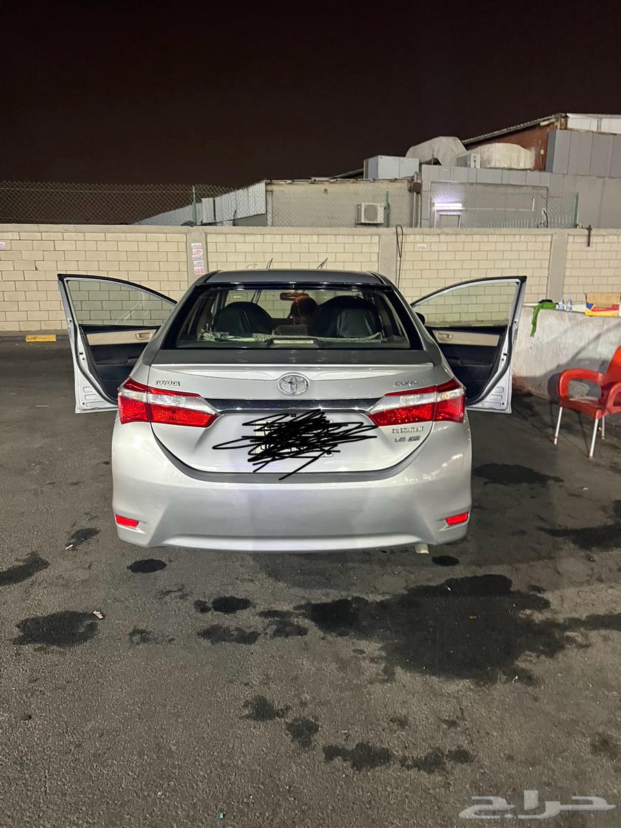 كوريلا 2016 للبيع64406681750273110