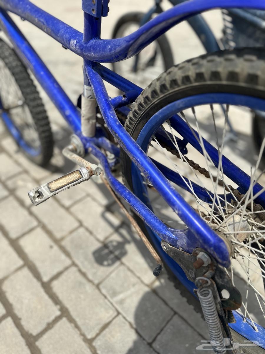 Cyclists for sale, price negotiable, contact via WhatsApp only64214463638531113