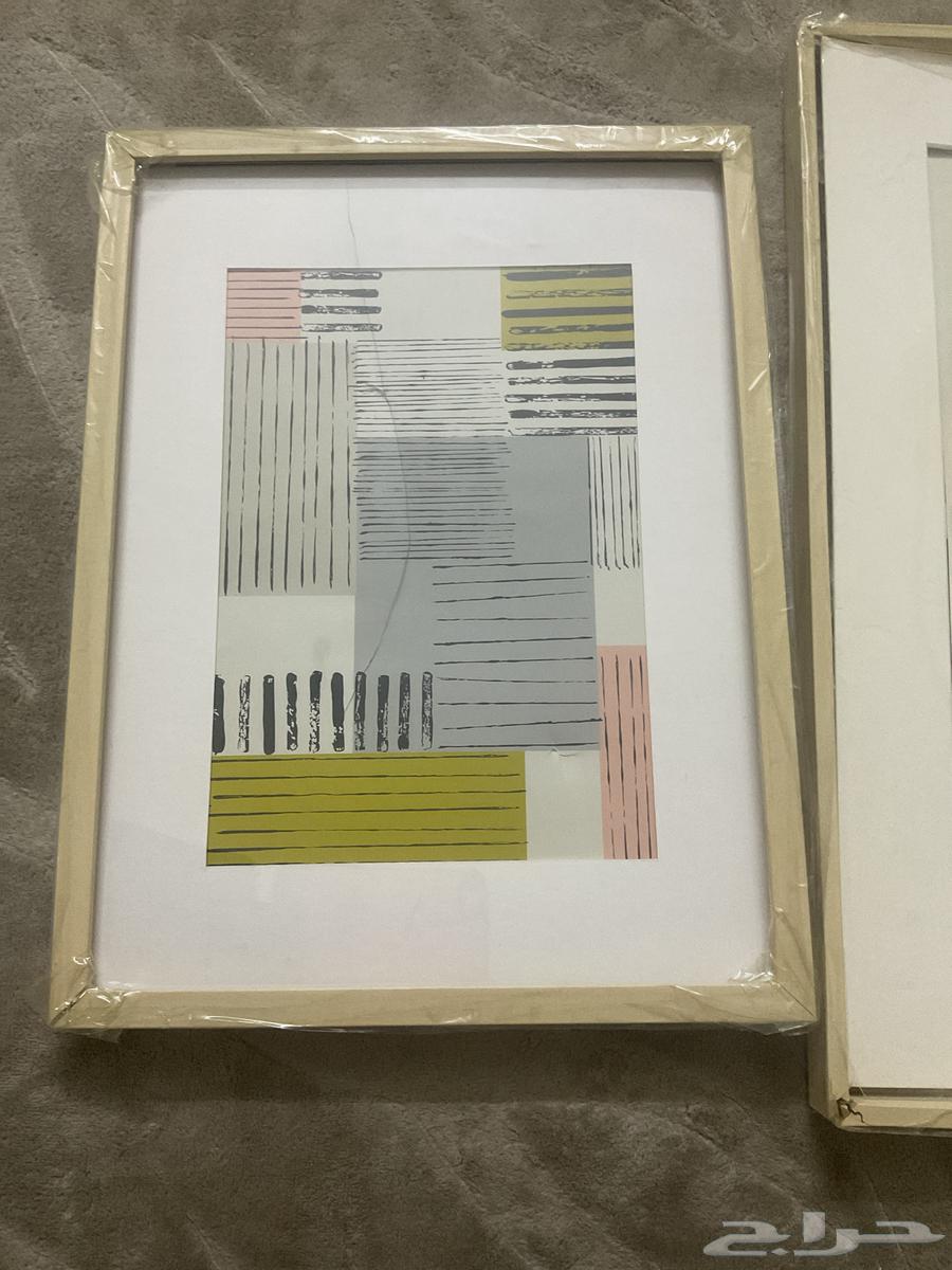 The single board 11 riyals64223828125313111