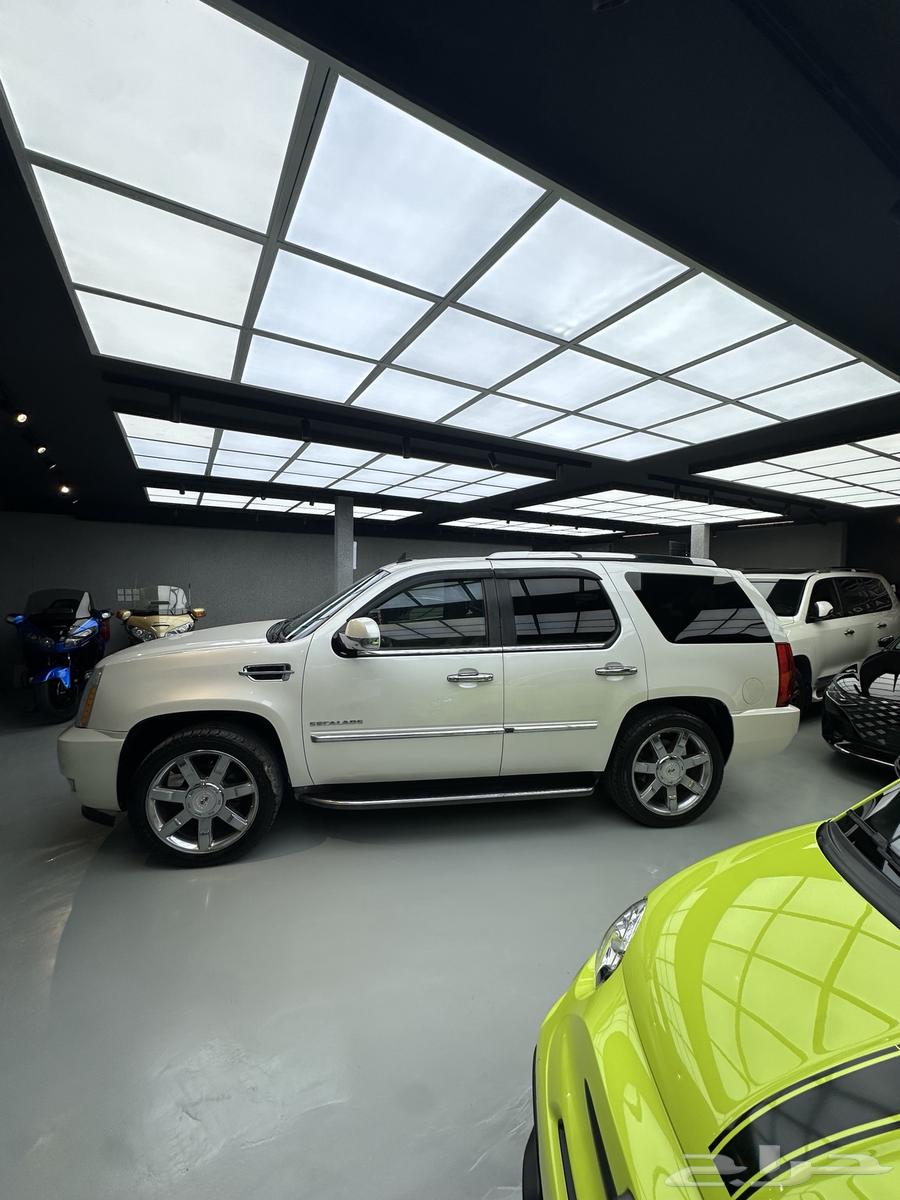 كاديلاك إسكاليد64401786439297113