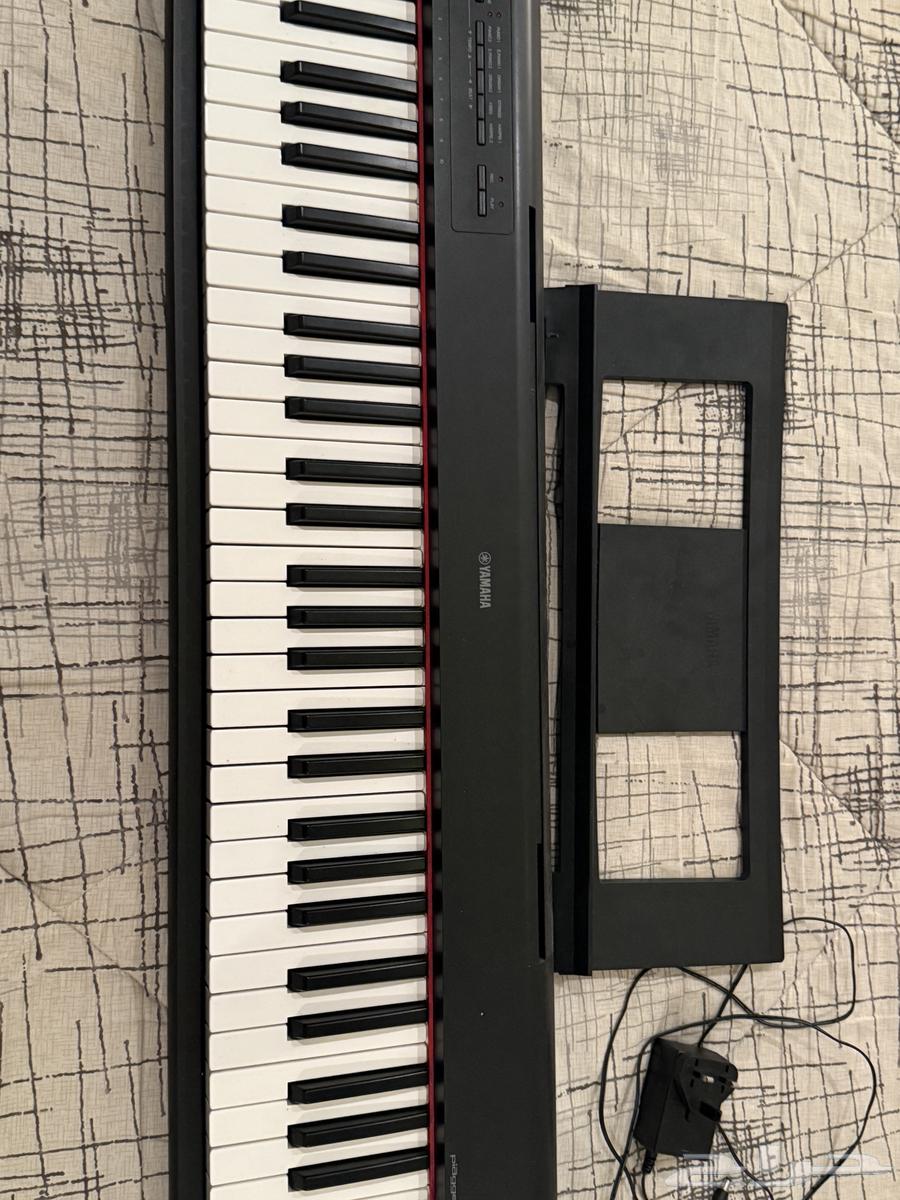 أورغ بيانو64231476687617111