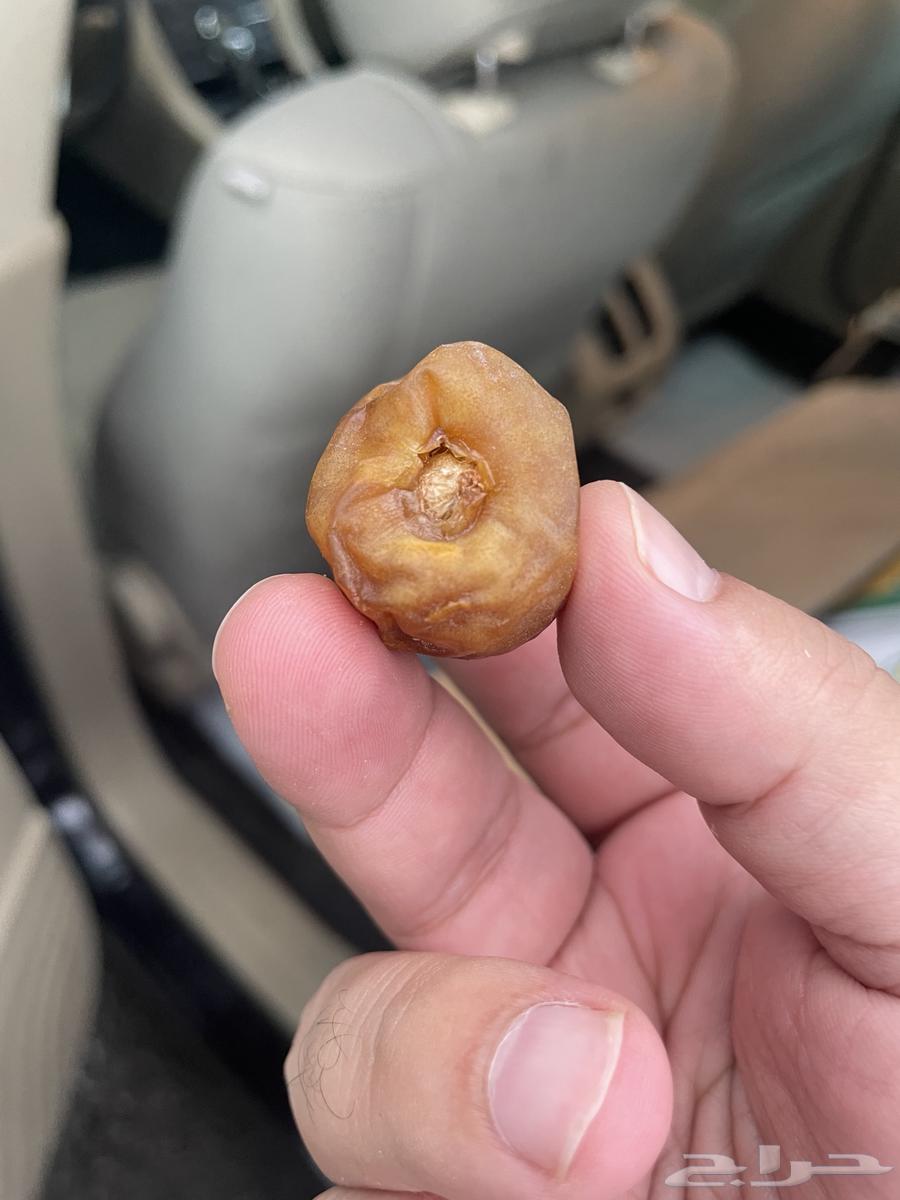 تمر جلكسي ملكي درجه اولى64222979448193111