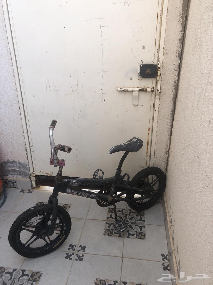 سيكل وسط الكفرات جيديه بس نسمته عشان لي سنه ما استخدمته64222123542017110