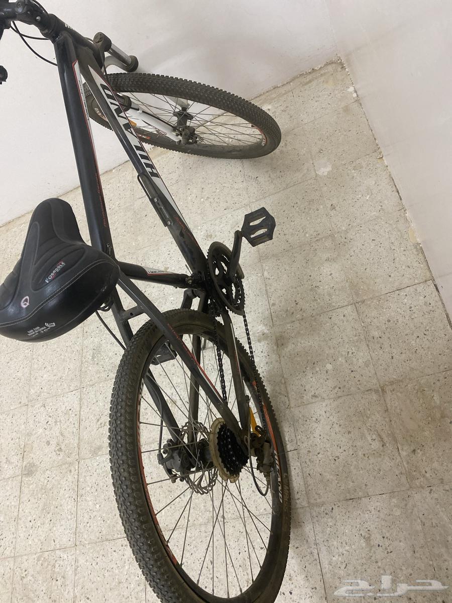 دراجه سيكل شبه جديد64221081764739113