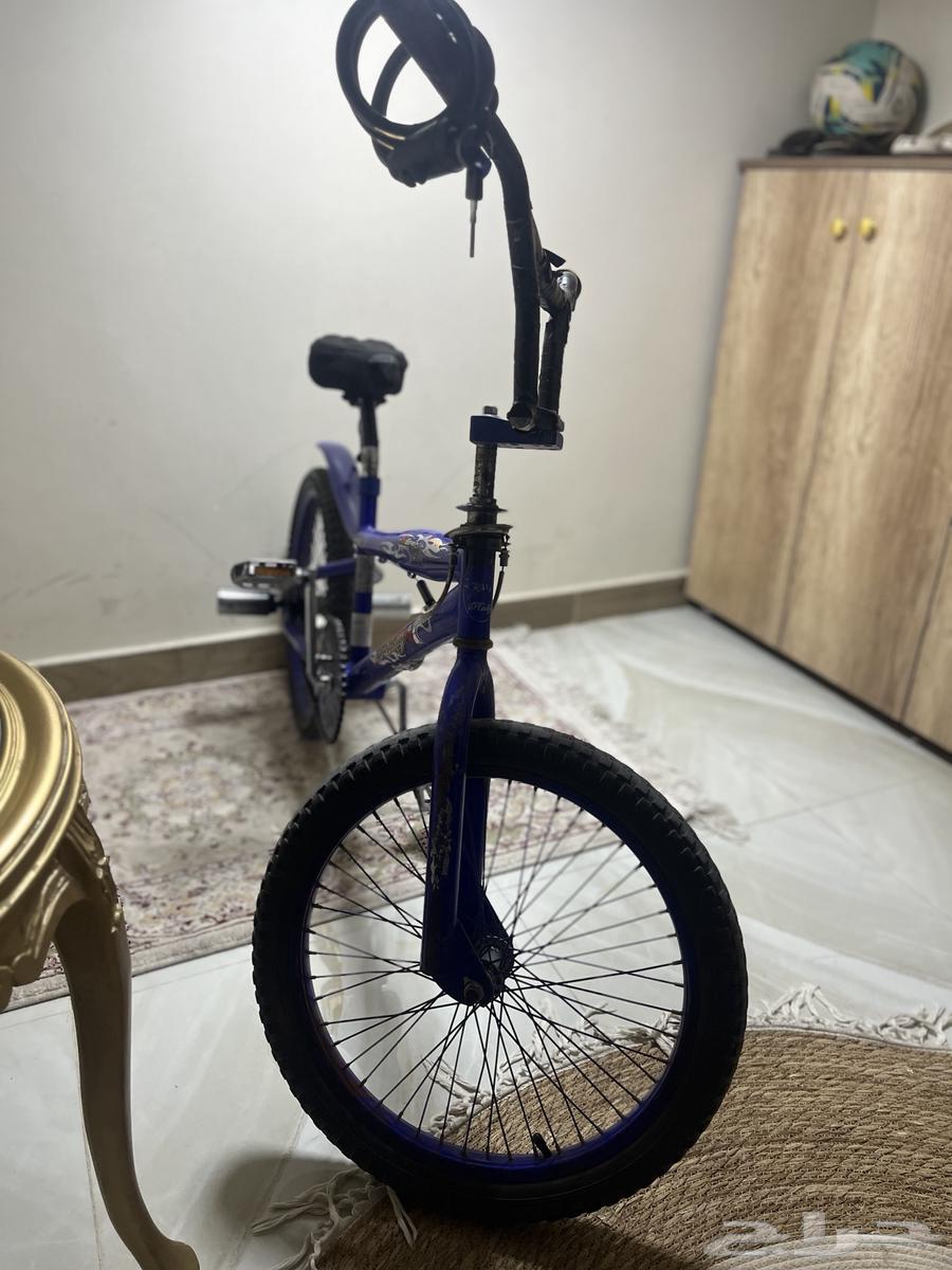 سيكل كوبرا نظيف مع دعامات وقفل للسيكل السعر ( 235 )64211071595267111