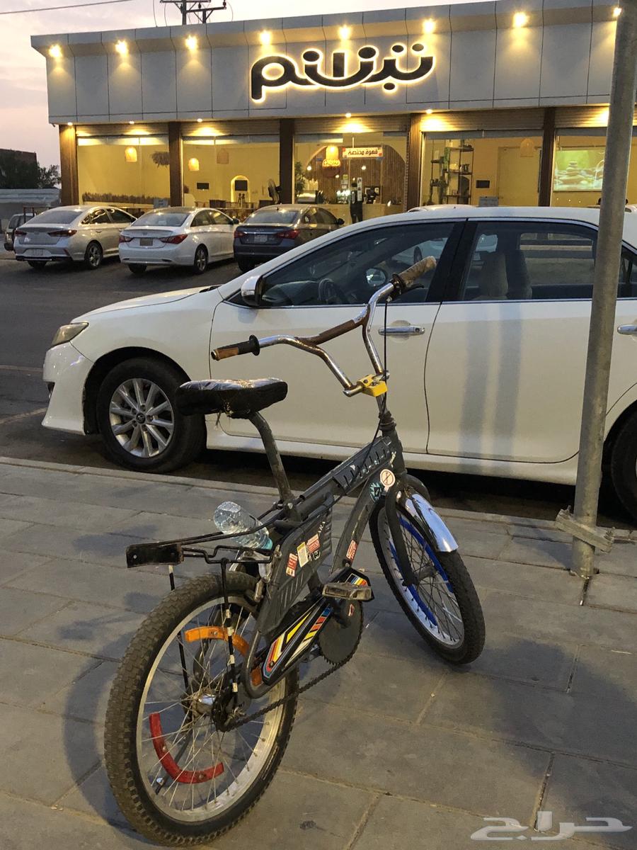 سيكل رامبو64406040836481110