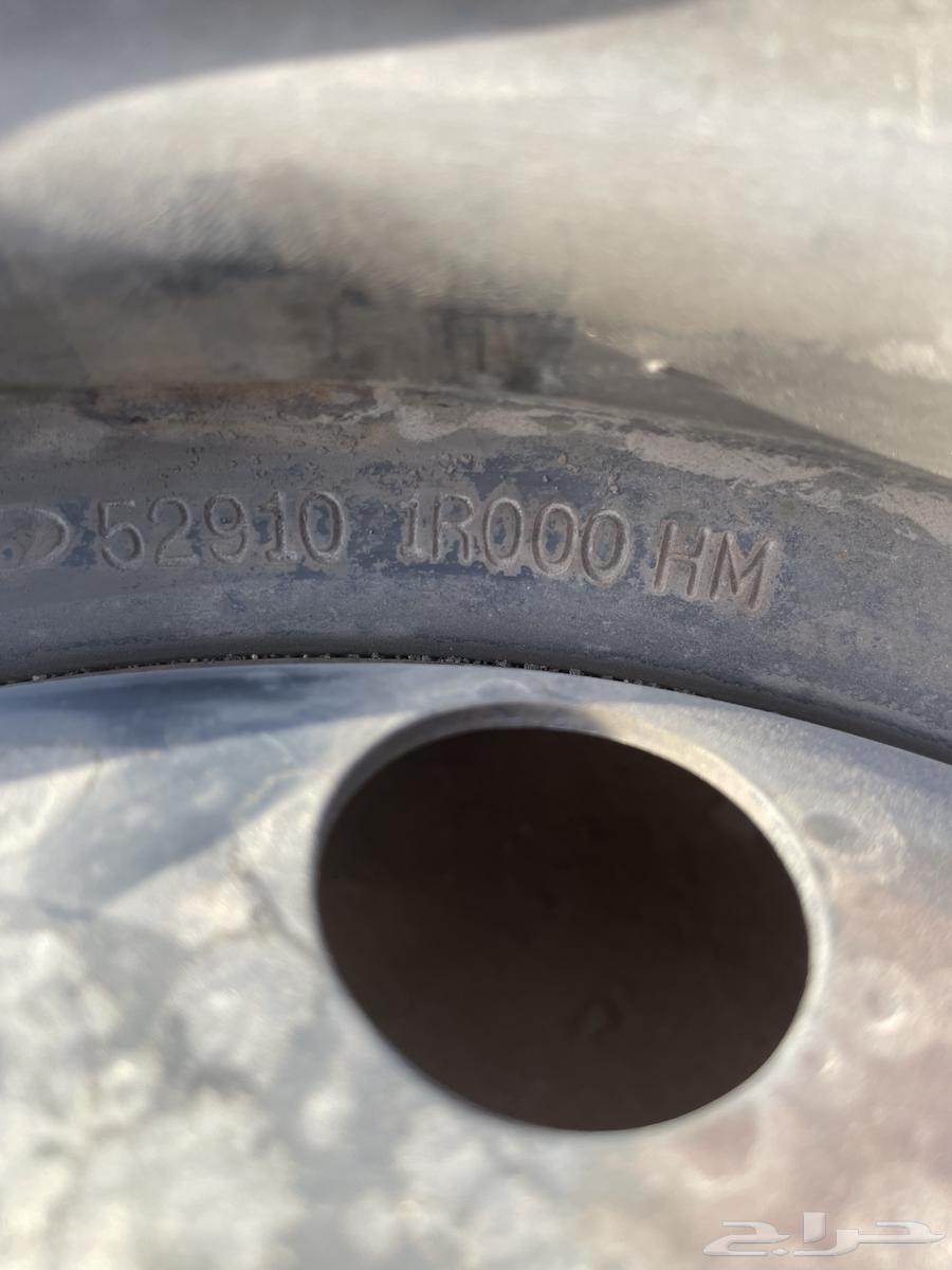 جنوط الاكسنت 201564407475574019112