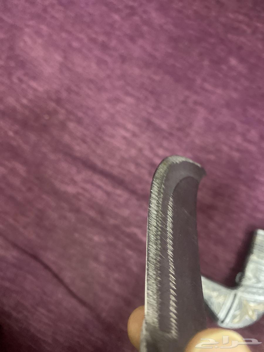 شبريه روسيه حادة السعر 8064225996318594112