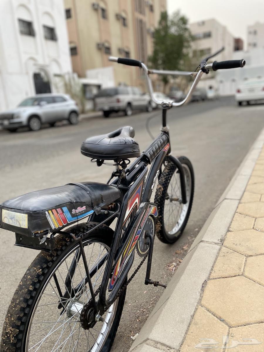 رامبو اندنوسي اصلي64219841711617112