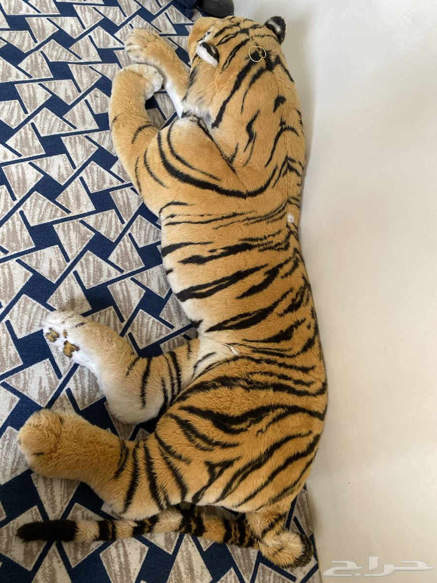 دمية نمر   للبيع64213597762049112