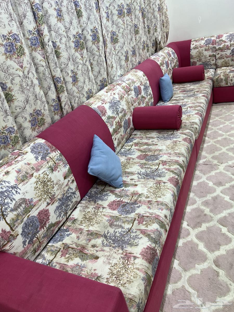 كنب مع ستارة للبيع64228201023235112