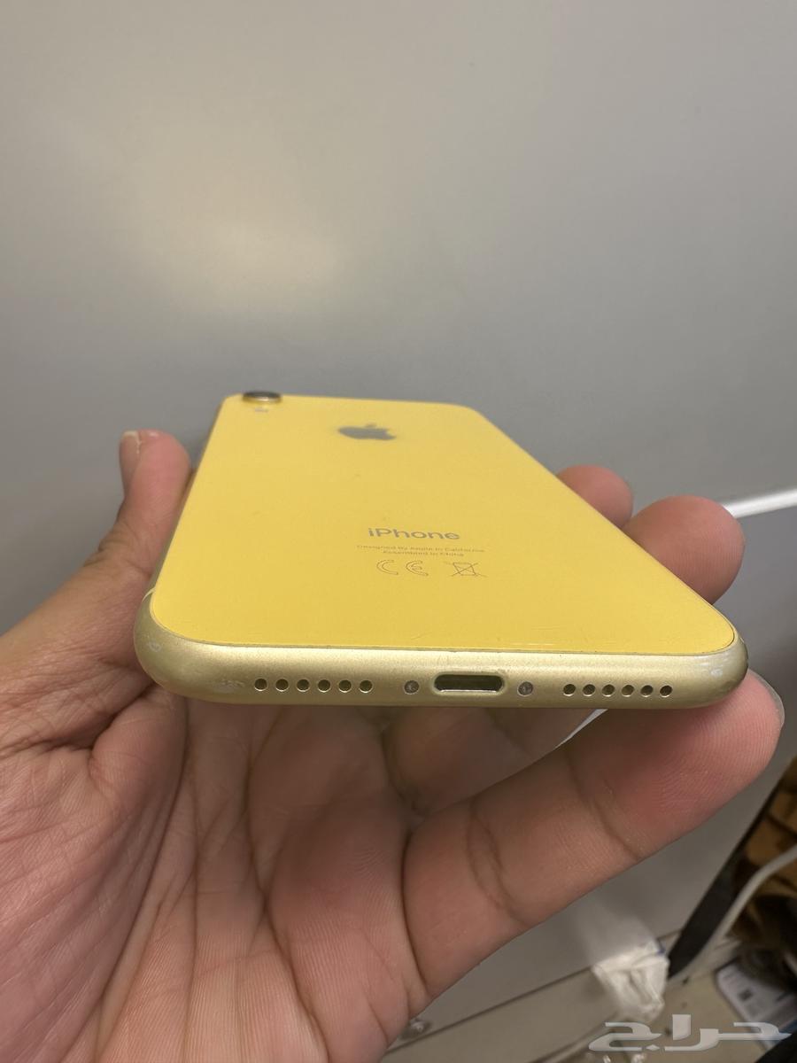 xr نظيف وكاله64216118341634114