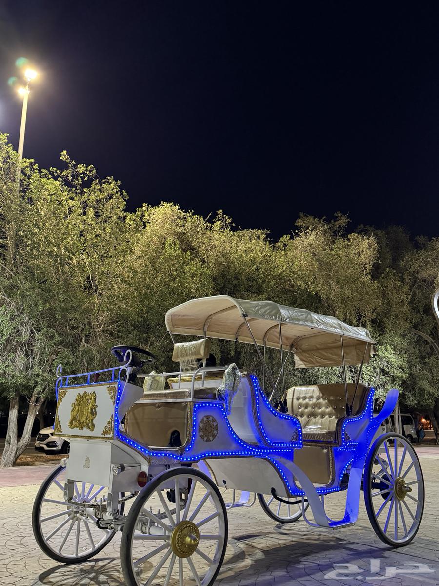 عربات كهربائيه64404277877889111