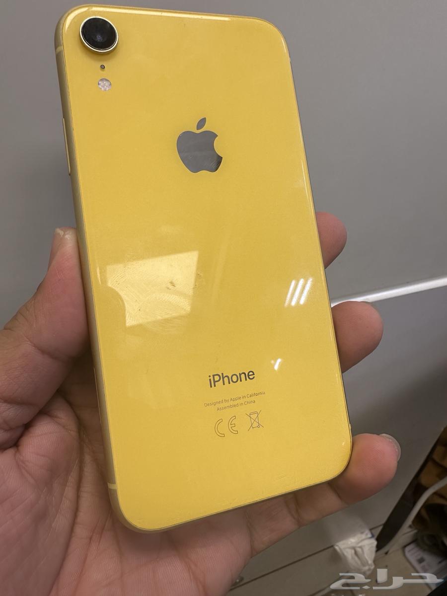 xr نظيف وكاله64216118341634113