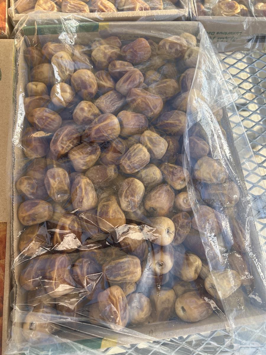 سكري مفتل درجه اولى بسعر (خاص)64209590717825110