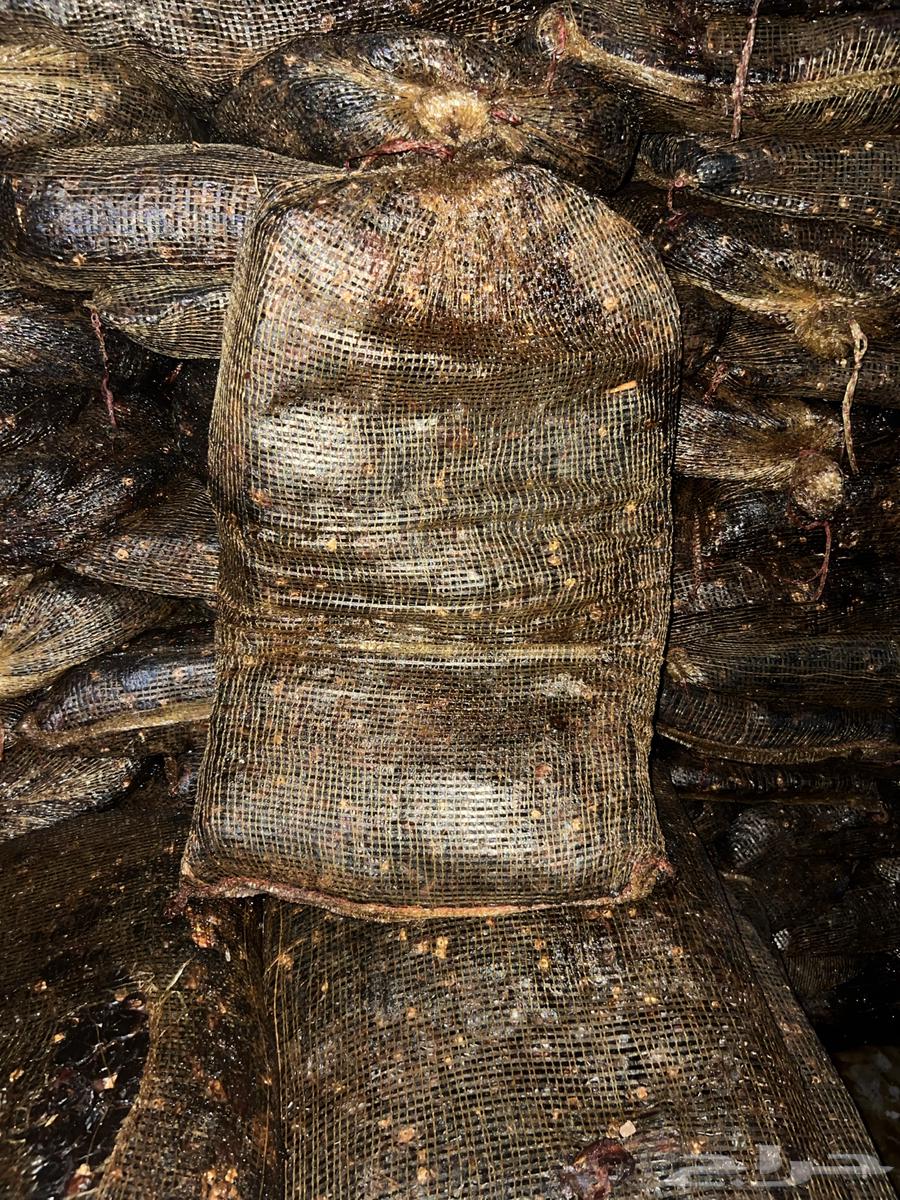 Dried Dates for Fodder64225193937537114