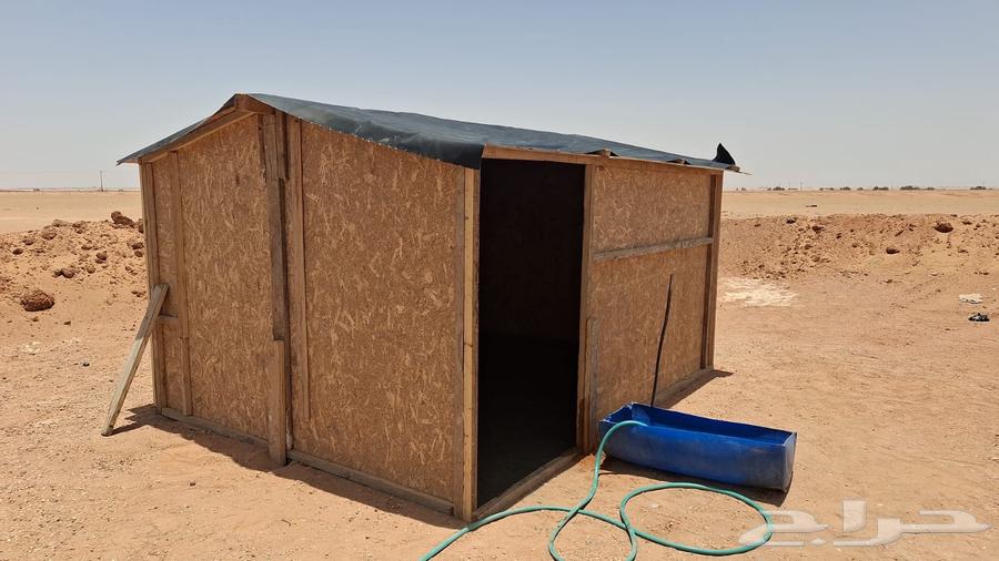 غرف خشب64220226903170114