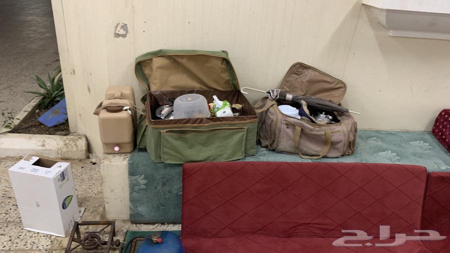 عزبت السنيدي ودلال وبراريد السيف الغالية والجوده العاليه64225557076739110