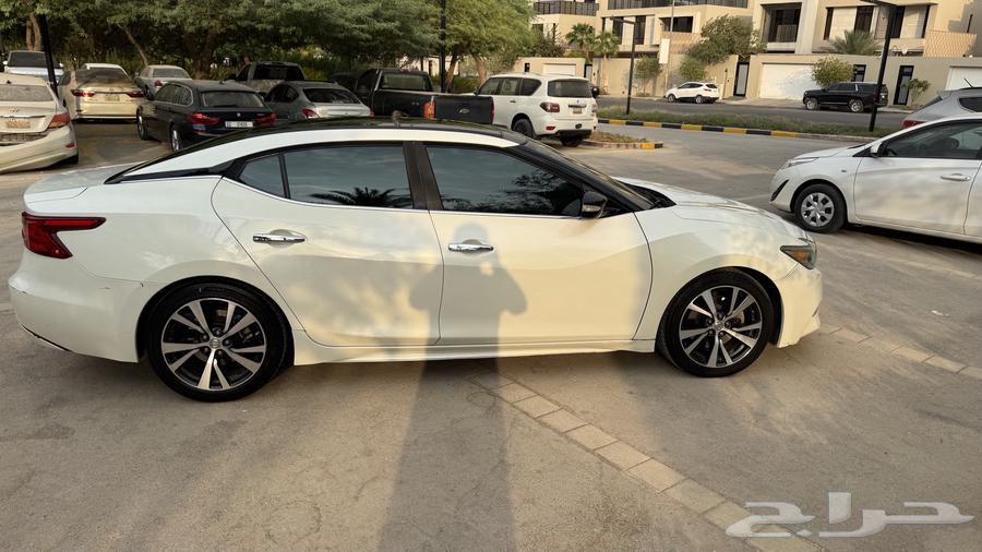 مكسيما SV للبيع64404958906753113