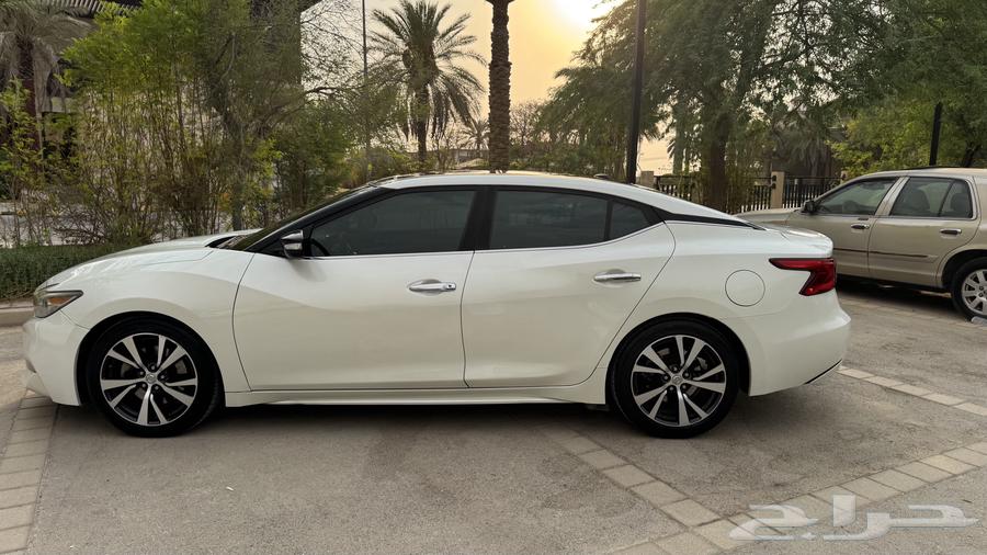 مكسيما SV للبيع64404958906753111