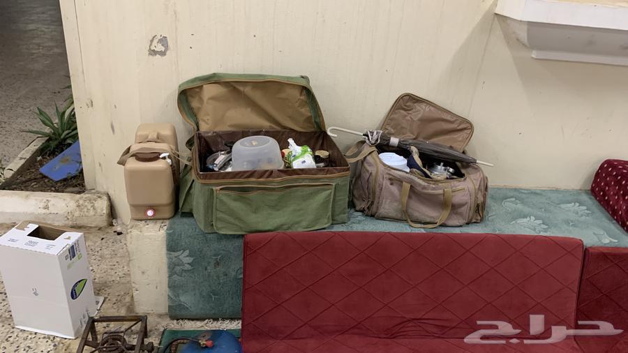 عزبت السنيدي ودلال وبراريد السيف الغالية والجوده العاليه64225557076739111