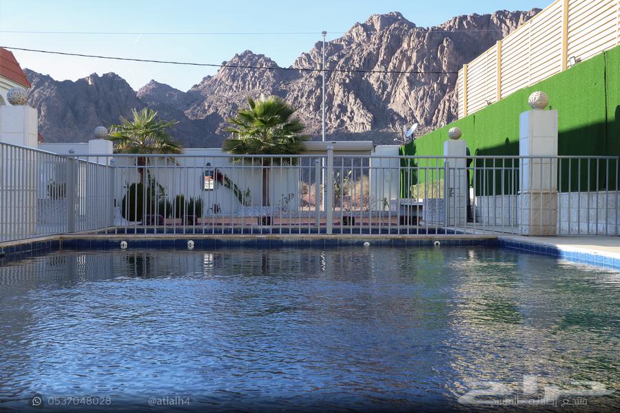 Cabin with swimming pool, bedrooms, and two living rooms64146158945921113