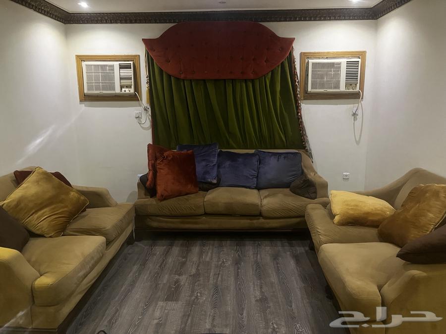 Curtains with sofa64226009510529114