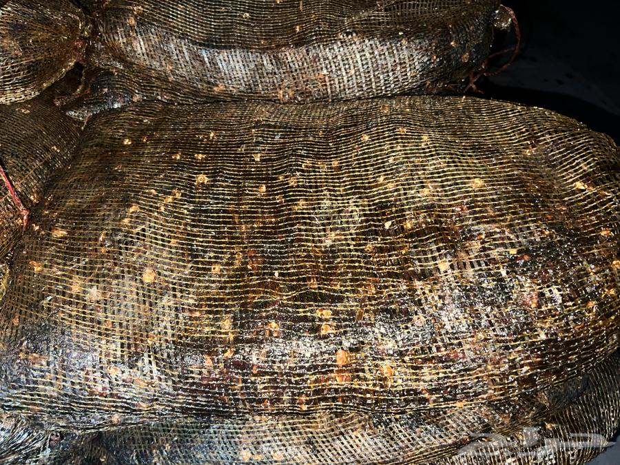 Dried Dates for Fodder64225193937537113