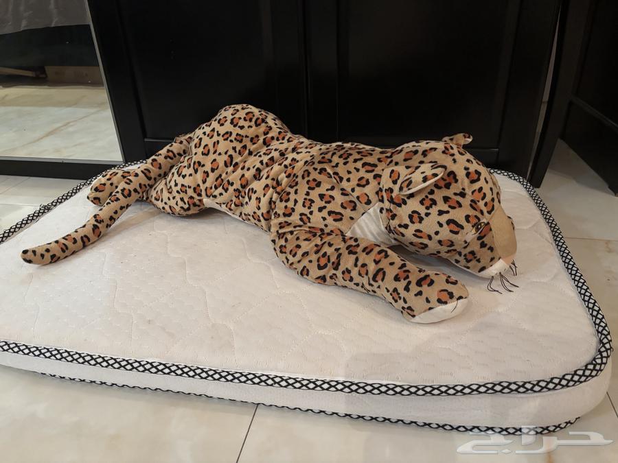 دمية جديدة الفهد64230998647425110