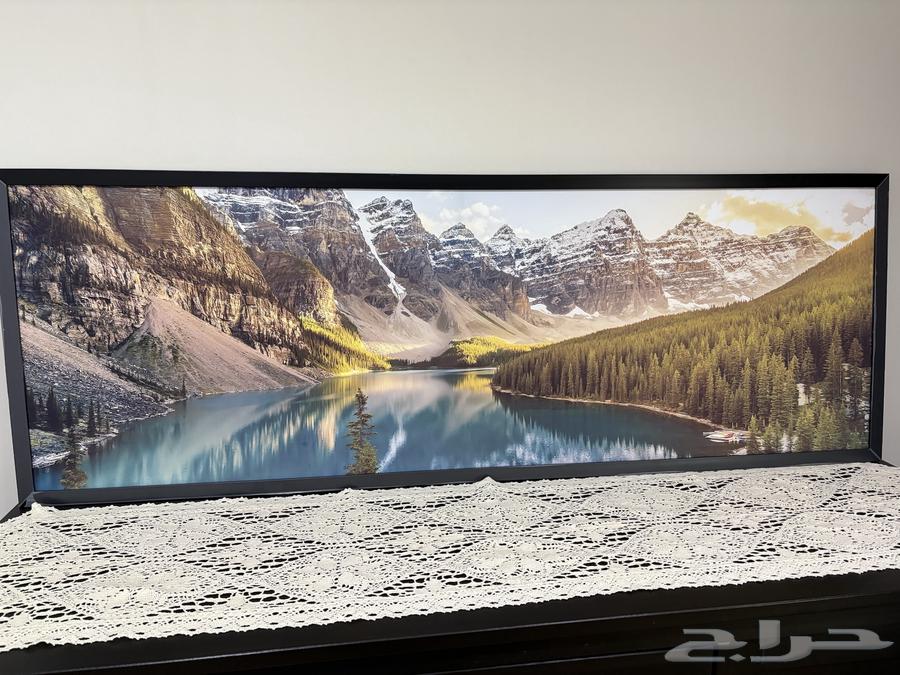 لوحة جدارية جديدة لم تستخدم64213830935041111