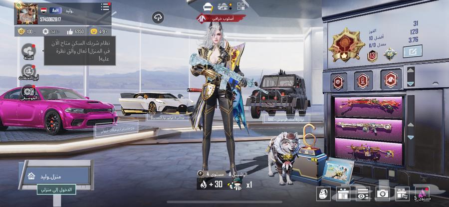 حساب ببجي للبيع تسليم يد بيد64230803247745110