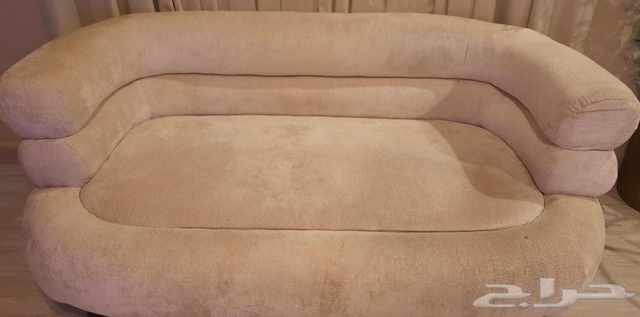 كنب نظيف للبيع64228201393795110