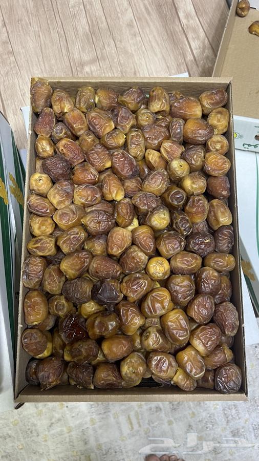 Soft Sukkari Dates Mafatil64227347003906113
