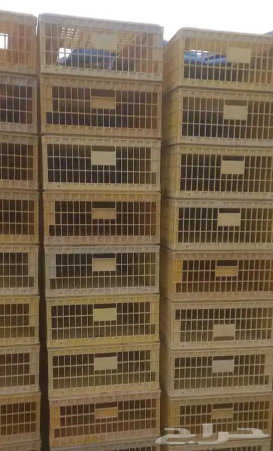 اقفاص نقل دجاج نضيفه64215641089025110