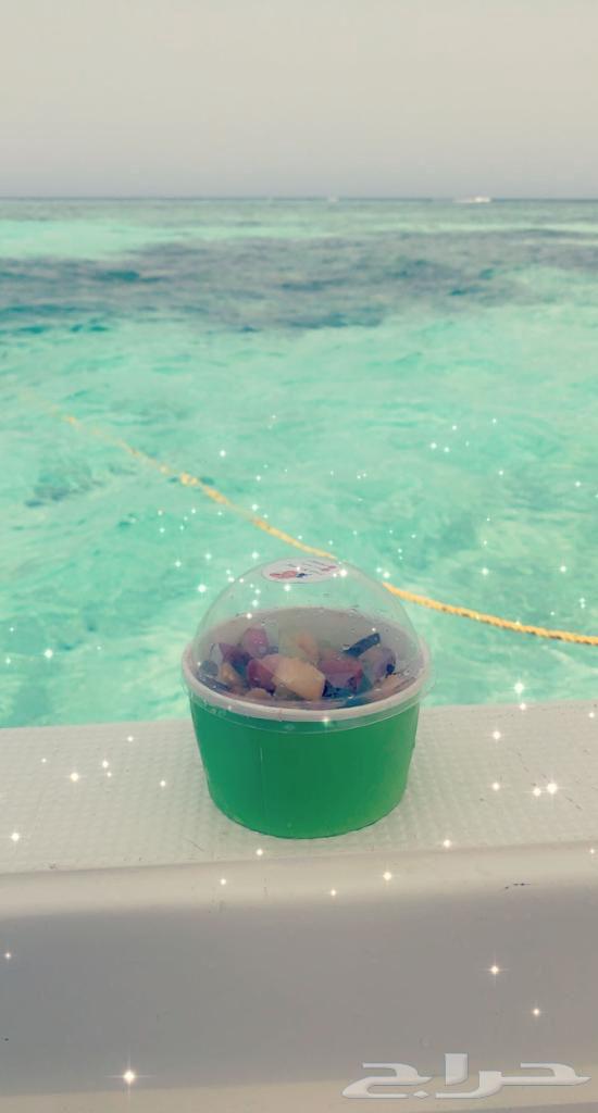 Fishing trips, island trips, open sea trips, and birthday parties64226009565443113