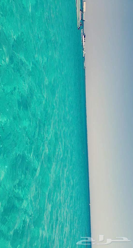 Fishing trips, island trips, open sea trips, and birthday parties64226009565443112