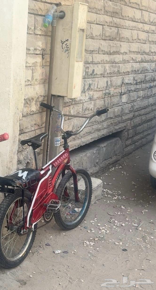 سيكل رامبو لون عنابي للبيع64223817509633110