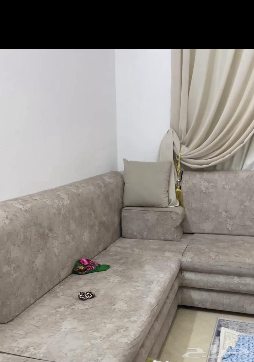 كنب نظيف64222543393537110