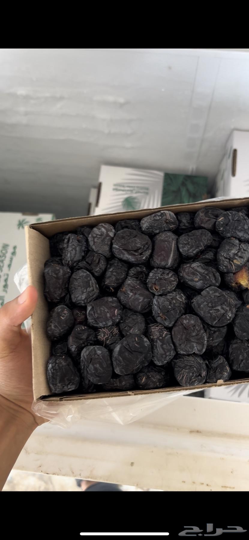 Soft Ajwa Dates for Sale, This Summer's Production64228400289666111