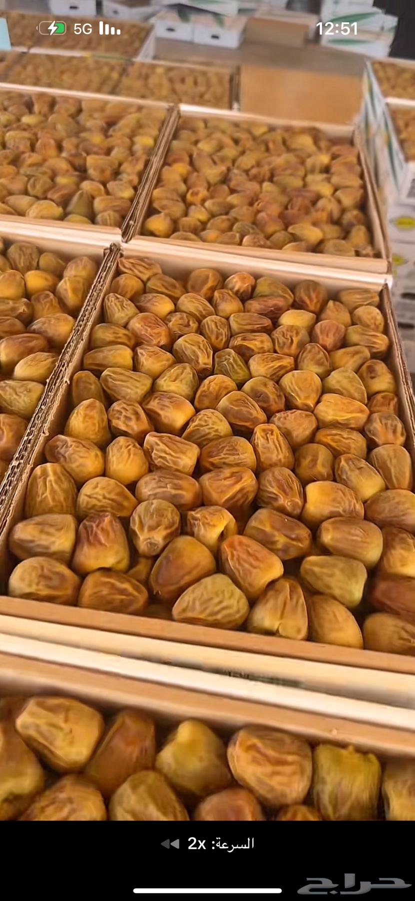 Al-Qassim Dates High Quality - Delivery to Riyadh and Al-Qassim64205233509123111