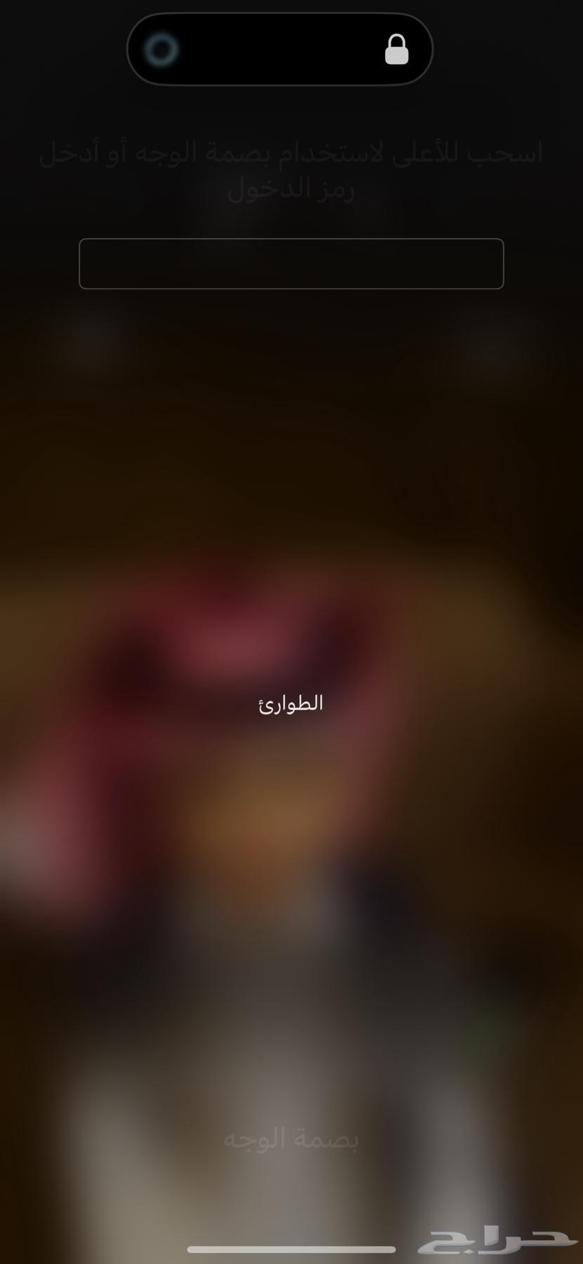 مخيم للإيجار اليومي64223332864514110